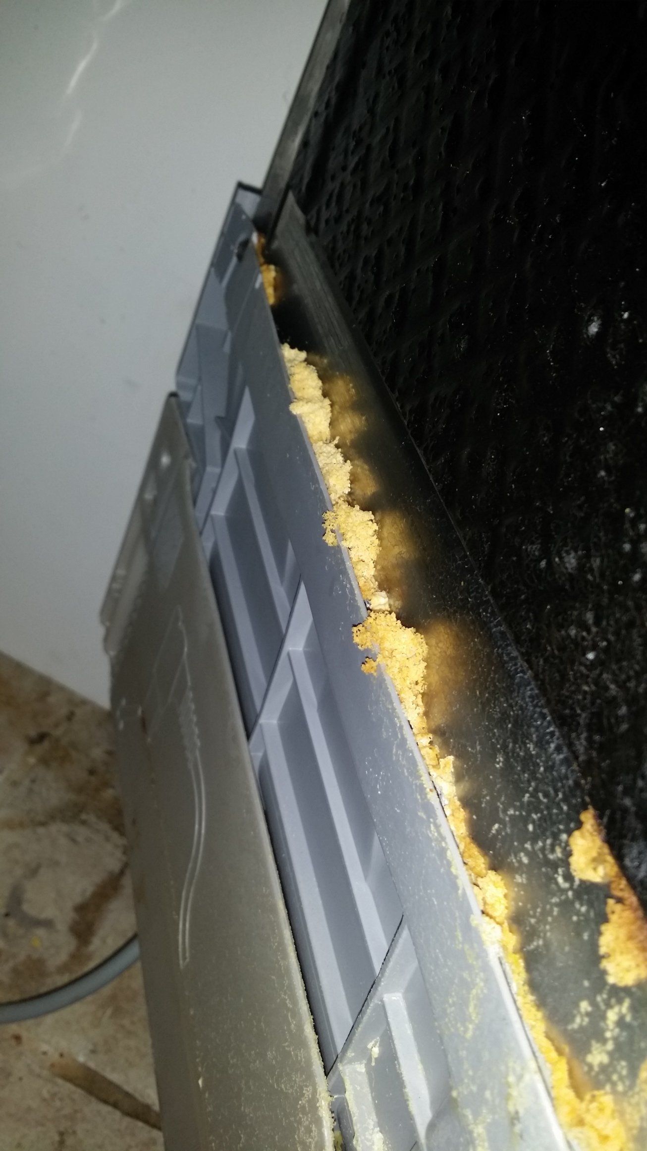 Bosch dishwasher leaking store water